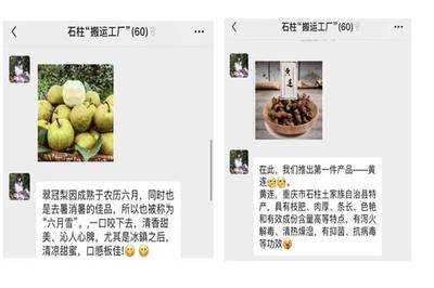 【三下鄉(xiāng)】“帶貨”農產品，教育咨詢助力脫貧